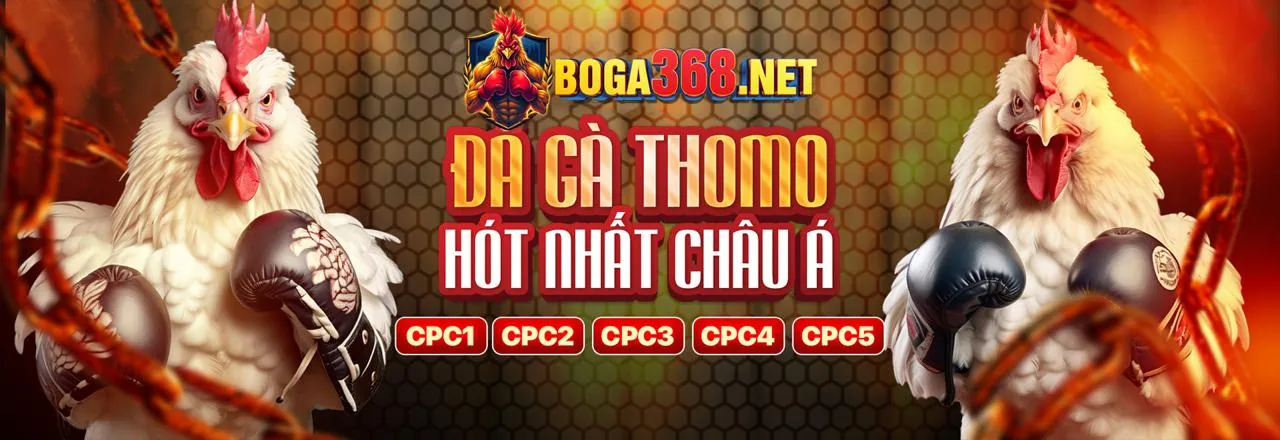 Banner khuyến mãi hấp dẫn từ Ribbet Trang Chủ