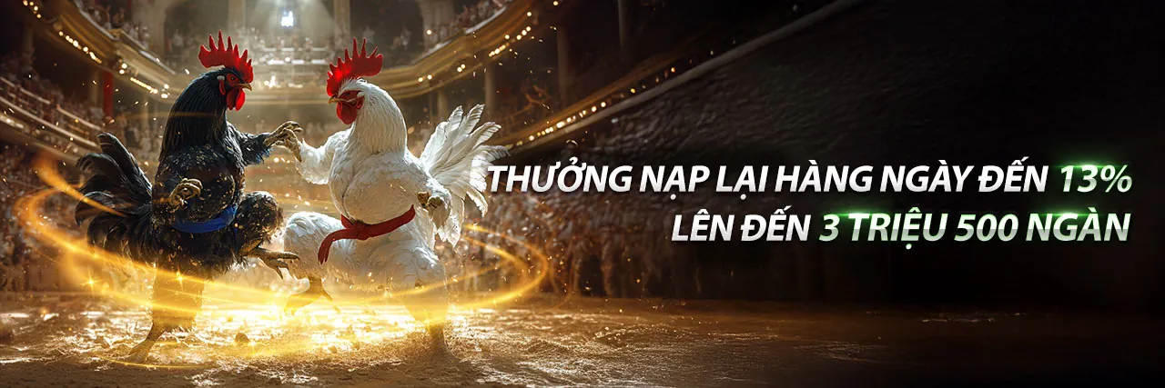 Tổng quan các chương trình khuyến mãi độc quyền của Ribbet